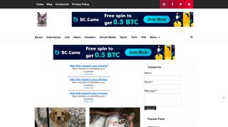 لقطة شاشة لموقع cats usa
بتاريخ 29/10/2019
بواسطة دليل مواقع عرب سايت